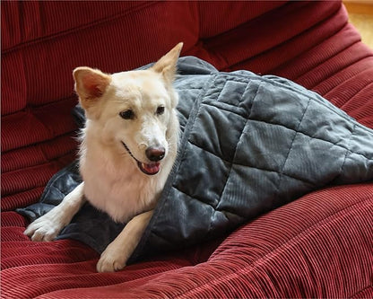 Gravity Premium Original Weighted Dog Blanket, Calming, Relaxation & Anxiety Relief for Pets, Comfortable & Cozy Blanket for Anxious Dogs, Washable, Grey, Medium, 40 x 32 in, 4 lbs