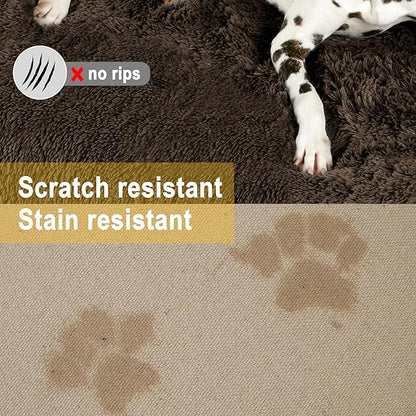 Codi Dog Bed for Couch 35x31x5 inches