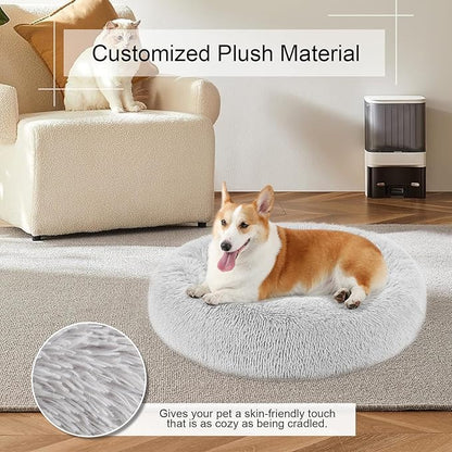 Dog Bed