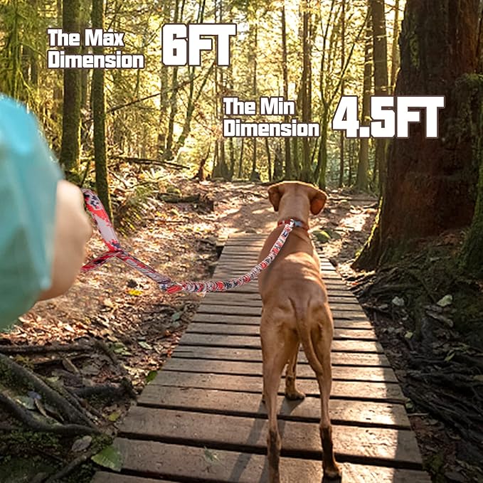 AUROTH Dog Leash Large Dogs 6FT, 2