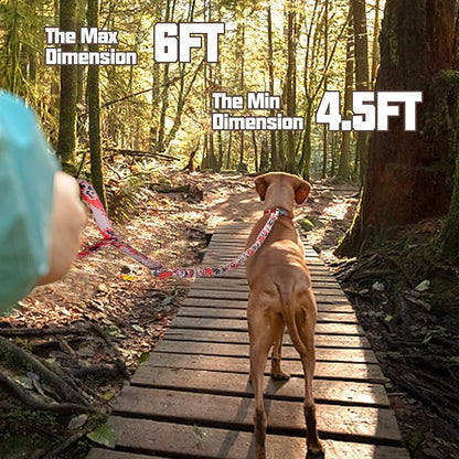 AUROTH Dog Leash Large Dogs 6FT, 2