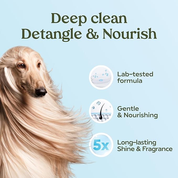 Pawfume Dog Shampoo and Conditioner – Hypoallergenic Dog Shampoo for Smelly Dogs – Best Dog Shampoos & Conditioners – Probiotic Shampoo for Dogs – Best Dog Shampoo for Puppies (Blue Ribbon, 4-Pack)