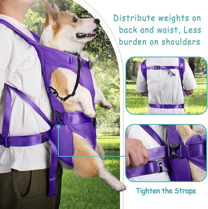 PetBonus Pet Front Dog Carrier Backpacks, Adjustable Dog Backpack Carrier, Legs Out Easy-fit Dog Chest Carrier for Medium Small Dogs, Hands Free Dog Front Carrier for Hiking, Cycling (Purple, M)