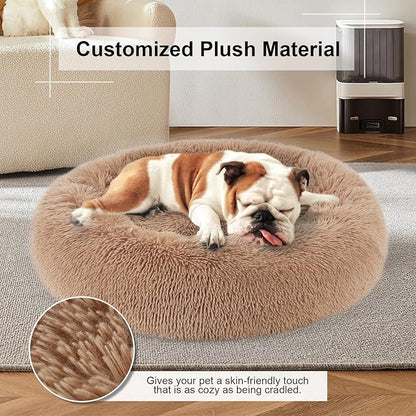 Dog Bed