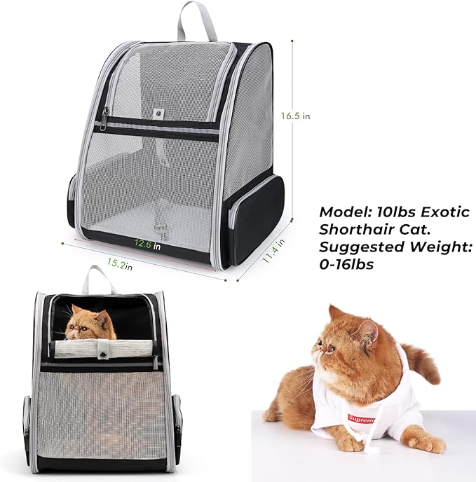 Lollimeow Cat Backpack Carrier, Ideal for Small Animals & Puppies, Outdoor Adventures, Vet Transport. Fully Ventilated Design for Ultimate Comfort On-The-Go