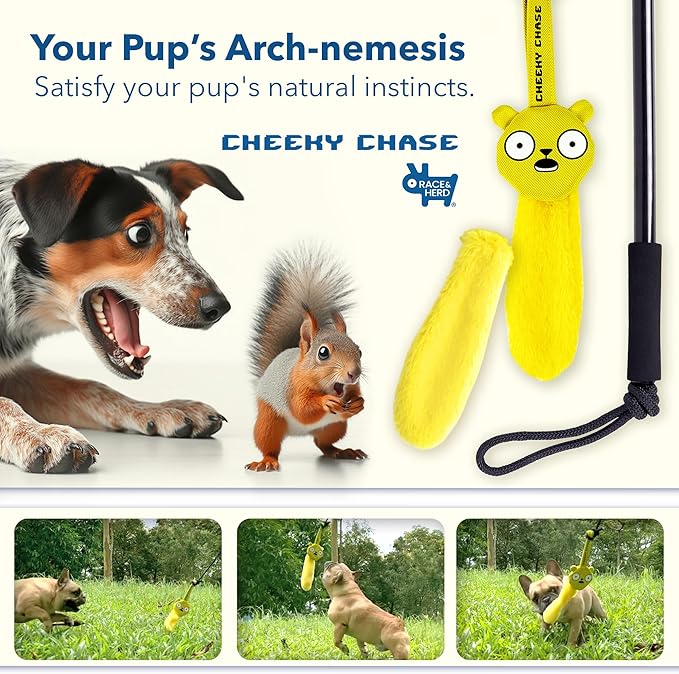 Race&Herd Cheeky Chase Replacement - Lure for Dogs Flirt Pole for Dogs Heavy Duty, Squirrel Dog Toy | Lure for Dogs Dog Stick Toy, Dog Flirt Pole Toy, Dog Flirt Pole for Large Dogs, Flirt Pole Puppy