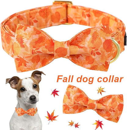 ARING PET Fall Dog Collar-Cute Yellow Dog Collar with Bow