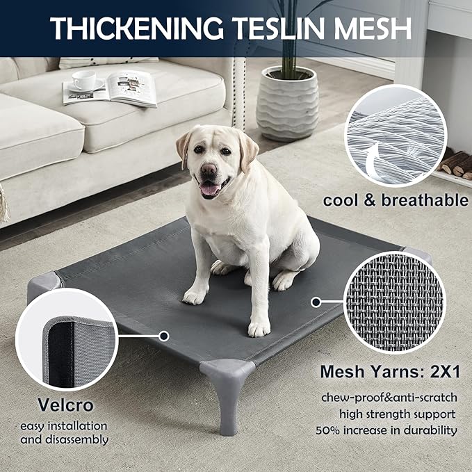 Elevated Dog Bed for Large Dogs