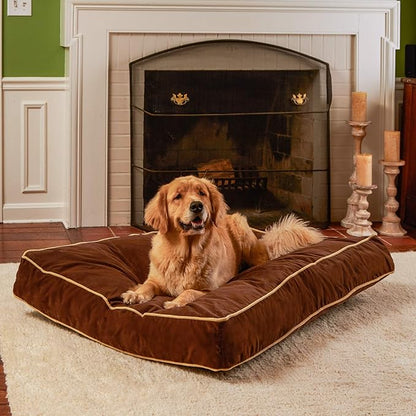 South Pine Porch Buddy Rectangle Pillow Style Dog Bed (48" x 36")
