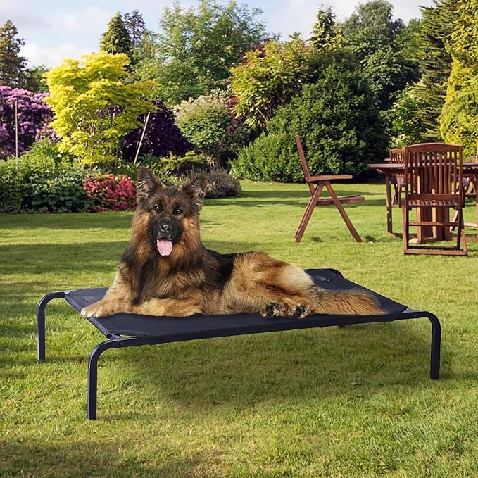 Elevated Dog Bed 35.4x23.6 x 5.9in, Portable