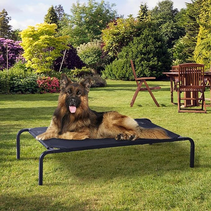 Elevated Dog Bed 35.4x23.6 x 5.9in, Portable