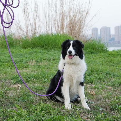 NTR Dog Long Leash 150FT Extra