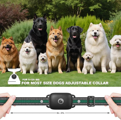 Dog Training Collar 2600FT Remote 3 Training