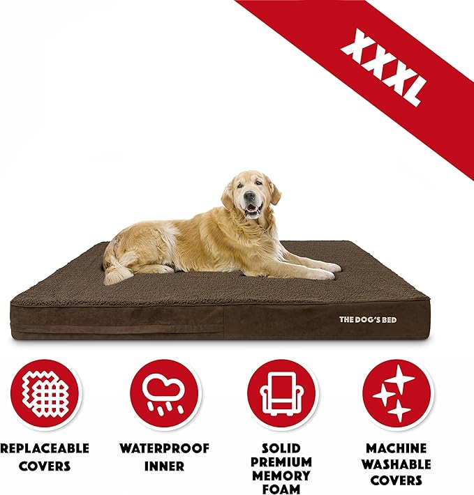The Dog’s Bed Orthopedic Memory Foam Jumbo Dog Bed 64x44, Pain