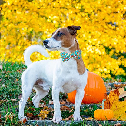 Lionheart glory Dog Collar Fall Dog Collars with Bow Tie Blue Dog Collar Bow Female Male Pet Collar Dogs Collar Bows Duty Adjustable Dog Bow Collars for Small Dogs