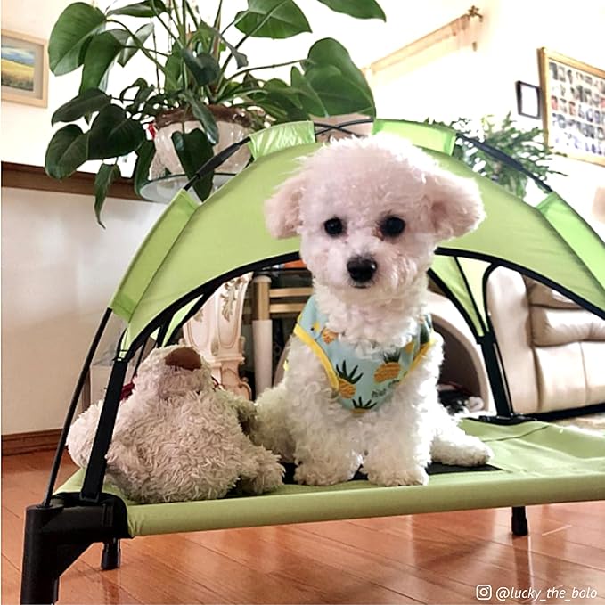 Midlee Green Dog Cot with Canopy (24" x 30")