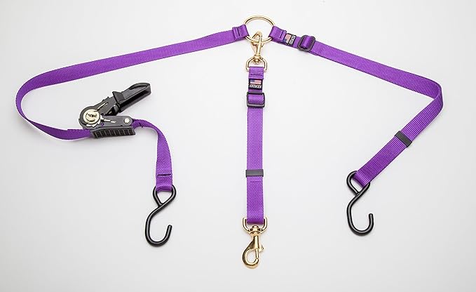 Cetacea Pet Truck Bed Tether with Ratchet Tightening Hardware