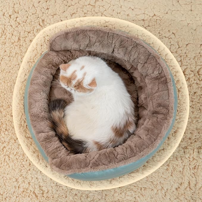 Jiupety Cute Cat Beds for Indoor Cats 20in Pet 12lbs, Washable
