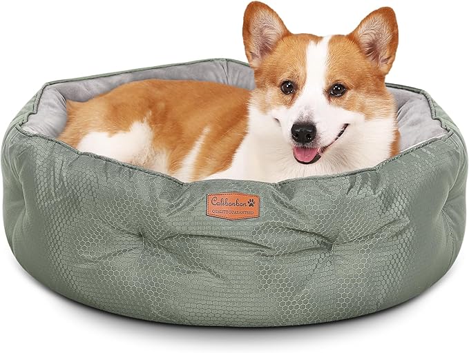 Dual-Sided Dog Beds for Medium & Small Dogs 25" L 25" W 8" Th)