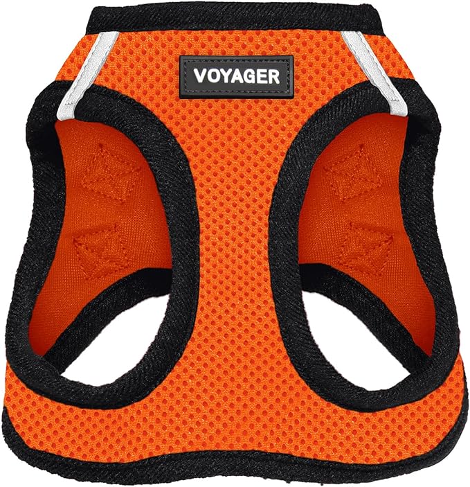 Voyager Step-in Air Cat Harness - All Weather Mesh Step in Vest Harness for Small and Medium Cats by Best Pet Supplies - Harness (Orange/Black Trim), XXS (Chest: 10.5-13")