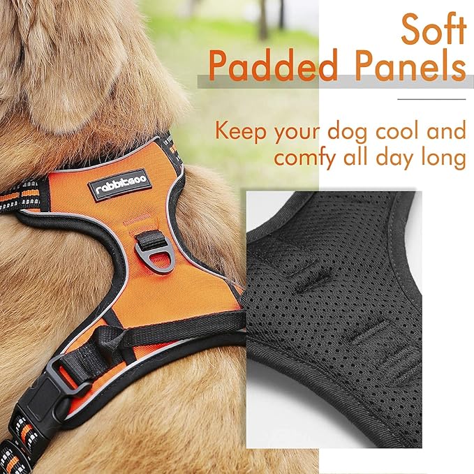 rabbitgoo Dog Harness,No-Pull Pet Harness with 2 Leash Clips,Adjustable Soft Padded Dog Vest,Reflective No-Choke Pet Oxford Vest with Easy Control Handle for Medium Dogs,Orange, M