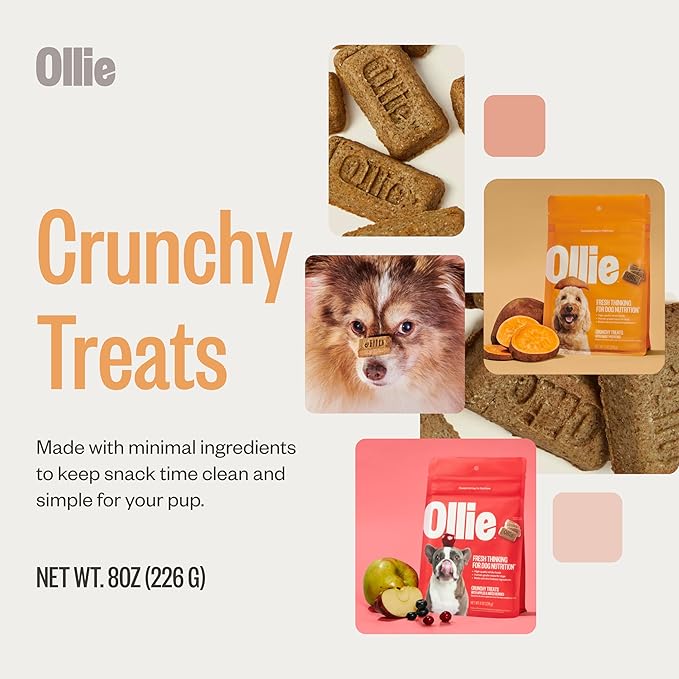 Ollie Crunchy Treats Variety Pack - Apple Berry & Sweet Potato Recipe - Crunchy Dog Treats All Natural - Healthy Dog Treats - 100% Human Grade - Baked in USA Kitchens 16 Oz.