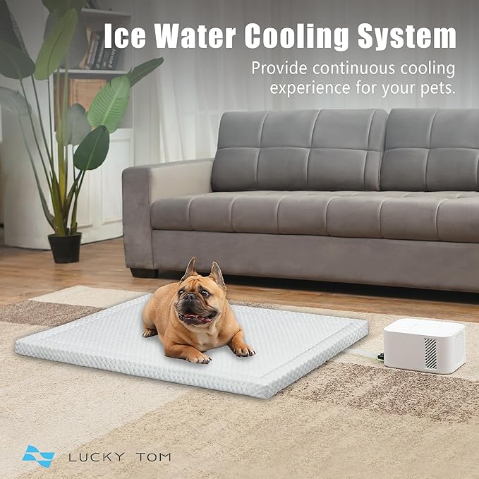 Pet Pad Cooling System for Summer