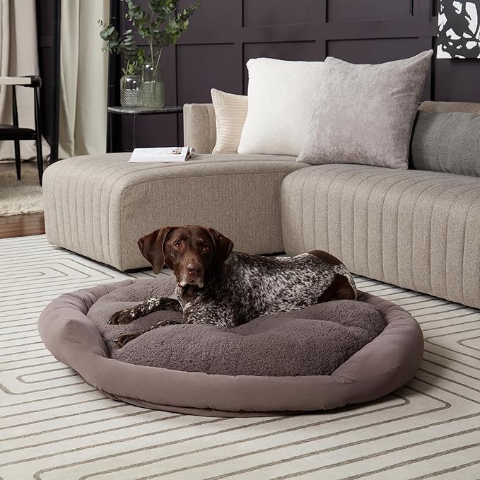 Maddie Donut Dog Bed with Removable Center Pillow (42" x 42")