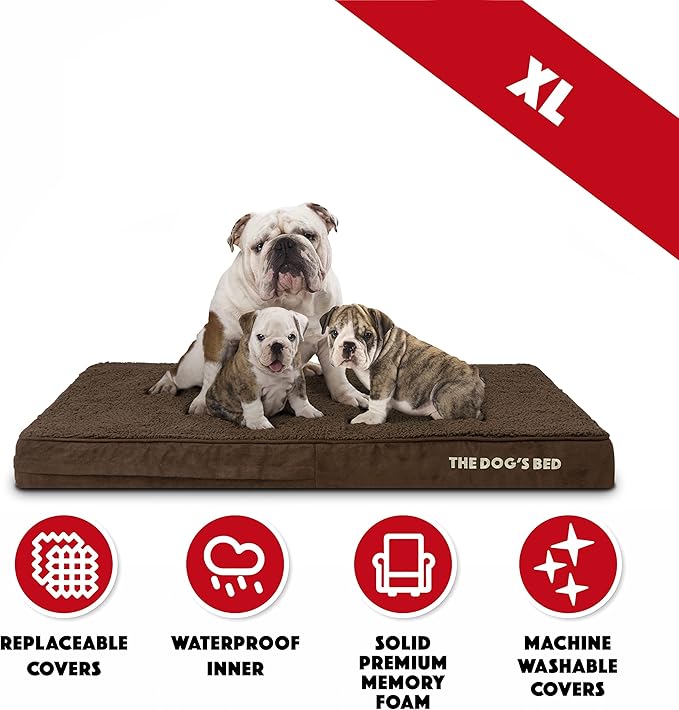 The Dog’s Bed Orthopedic Memory Foam Dog Bed