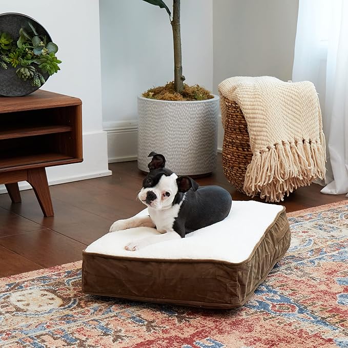 Buster Deluxe Reversible Pillow Style Sherpa Dog Bed (24 x 18 in.)
