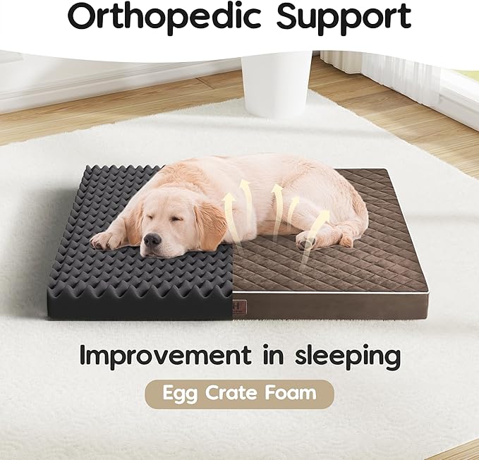 Orthopedic Dog Beds for Medium Large Dogs with Removable Washable Cover 30 inch,