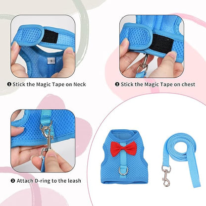 AIITLE Rabbit Harness and Leash Set with Cute Bow, Soft Breathable Mesh Vest Harness for Rabbits Kitten Ferret Puppy Small Pets Walking Supplies Blue S