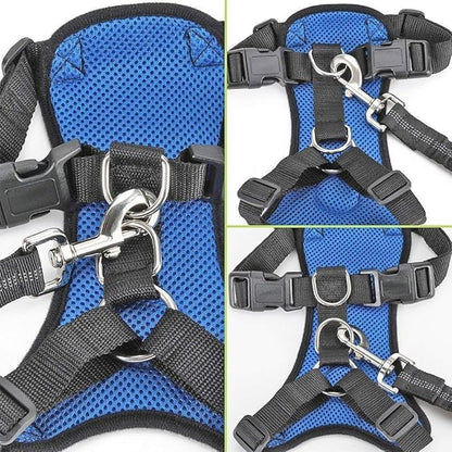 SlowTon Dog Seat Belt Harness for Car, Dog Car Harness Adjustable Mesh Breathable & Dog Seatbelt Safety Tether with Elastic Bungee for Small Medium Large Pets(Blue, Single Clip, XS)