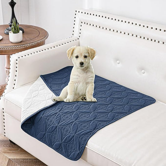 Waterproof Dog Blanket, 30x30 inches Small Pet Couch Covers for Sofa, Chair Bed Furniture Protector from Dogs Washable and Reversible-Blue+Cream