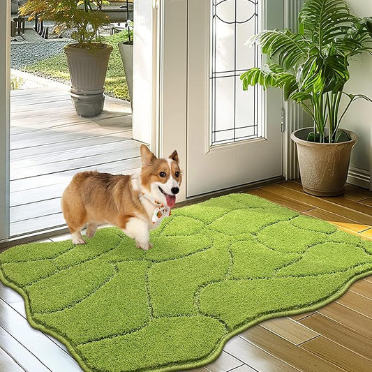 Dog Mat for Muddy Paws 24x36 Inches