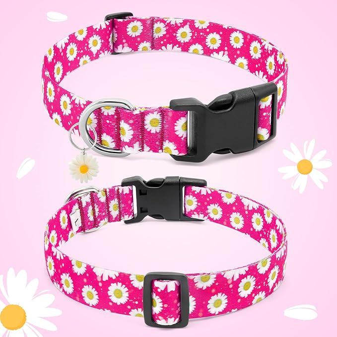 BiPawTi Dog Collars