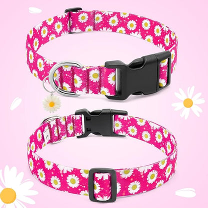 BiPawTi Pink Floral Dog Collar for Girls