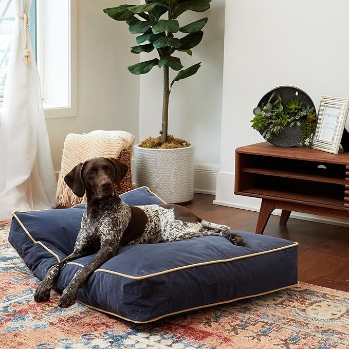 South Pine Porch Buddy Rectangle Pillow Style Dog Bed (42" x 30")