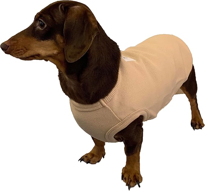 Dachshund Clothes for Dogs Mini and Adults T Shirts (XS