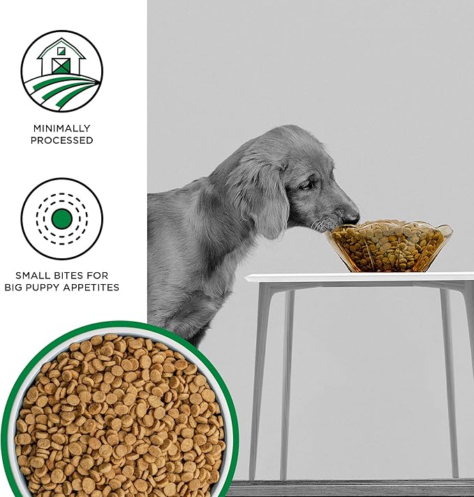 BIXBI Liberty Grain Free Dry Dog Food, Original Recipe Puppy, 4 lbs - Fresh Meat, No Meat Meal, No Fillers for Easy Digestion - USA Made