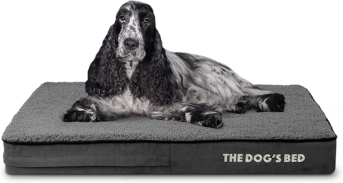 The Dog’s Bed Orthopedic Memory Foam Dog Bed 34x22, Pain