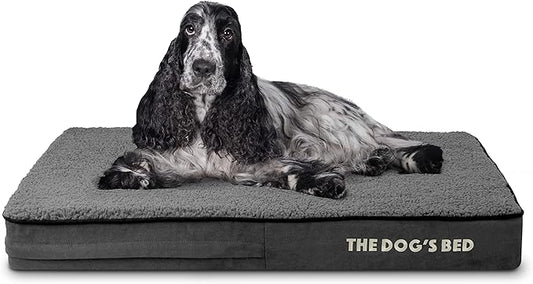 The Dog’s Bed Orthopedic Memory Foam Dog Bed 34x22, Pain