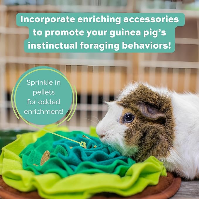 Oxbow Essentials Adult Guinea Pig Food 10 lb.(Packaging