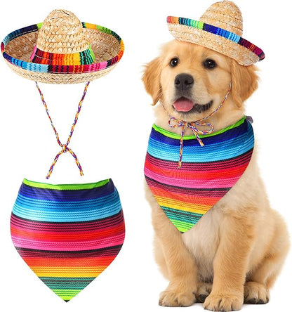 Dog Sombrero Hat Multicolor Sombrero Hats Straw Mexican
