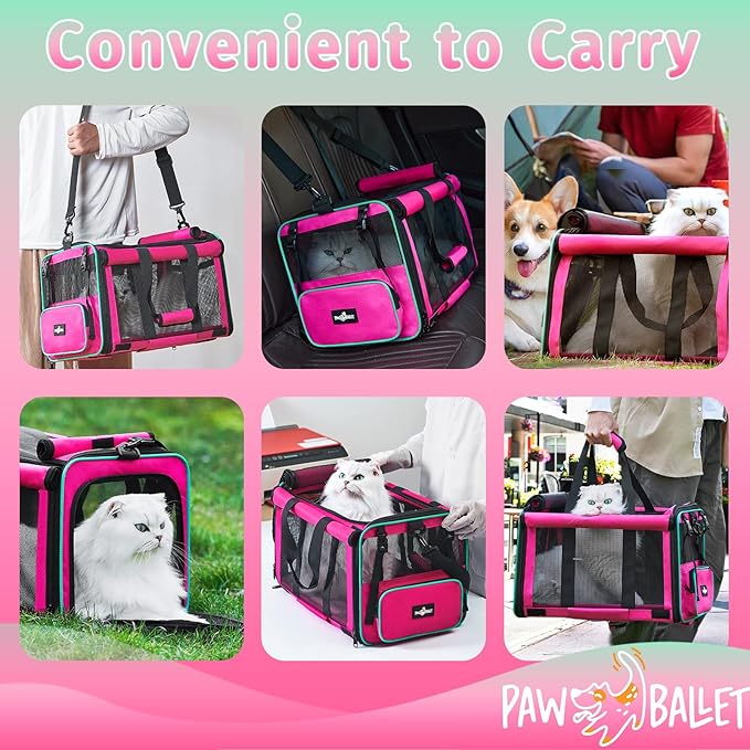 Pet Carrier, Durable Airline Approved Dog Cat Carrier, Collapsible Cat Travel Carrier Bag with Rollable Cover, Soft Cat Carrier for Small Medium Cats & Dogs Under 20 lbs, Pink