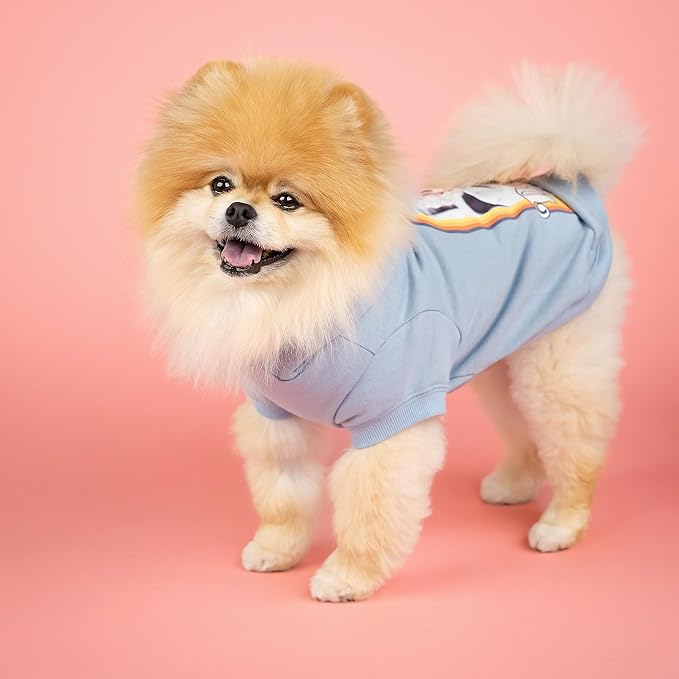 Doggy Parton Hoodie