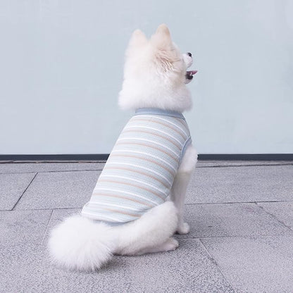 Striped Teacup Pet Dog T-Shirts 100% Cotton 3X-Small