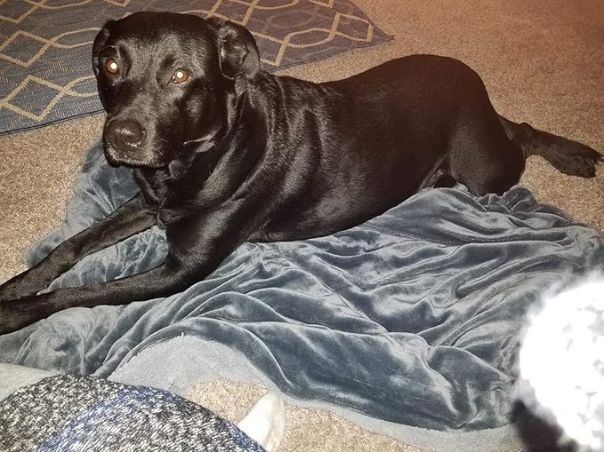 Grey Large Dog Blanket 50x60 inches