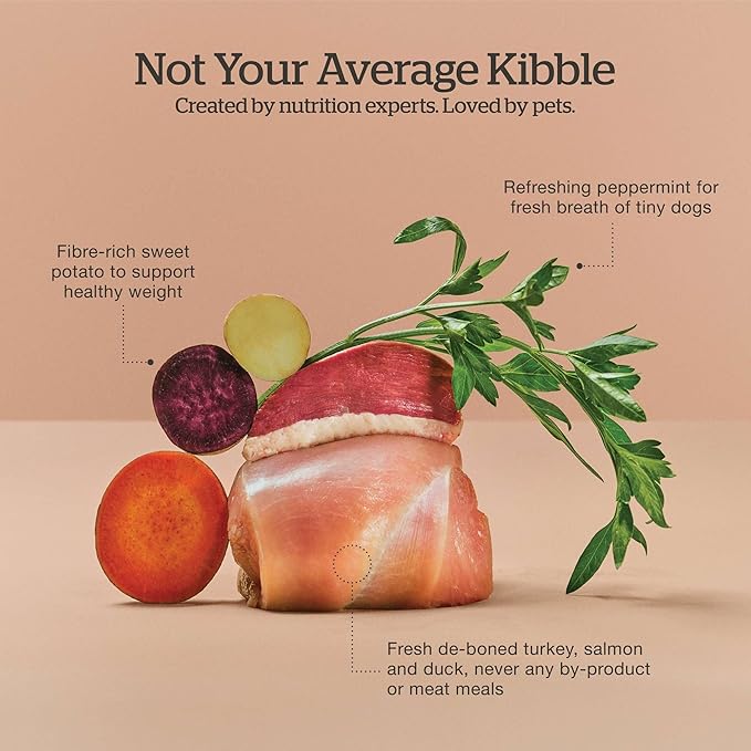 Now Fresh Grain-Free Dry Dog Food 3.5 lb