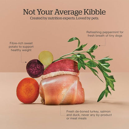 Now Fresh Grain-Free Dry Dog Food 3.5 lb